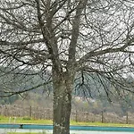 Quinta De Lourosa Venkovský dům Lousada