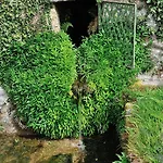 Quinta De Lourosa *