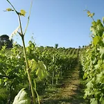 컨트리하우스 Quinta De Lourosa 로우사다
