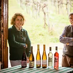 Quinta De Lourosa 컨트리하우스