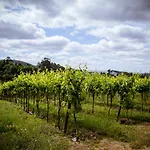Quinta De Lourosa