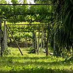 컨트리하우스 Quinta De Lourosa