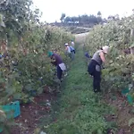컨트리하우스 Quinta De Lourosa 로우사다
