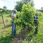컨트리하우스 Quinta De Lourosa