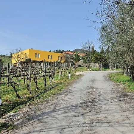 Quinta De Lourosa * 로우사다