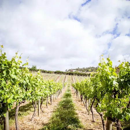 Quinta De Lourosa Casa rural Lousada