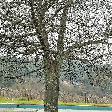Quinta De Lourosa Lantställe Lousada