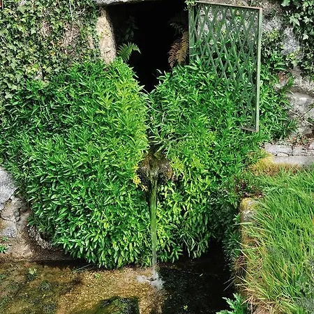 Quinta De Lourosa *