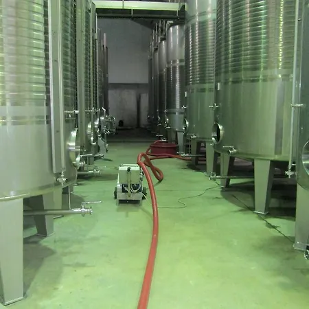 Kır Evi Quinta De Lourosa *