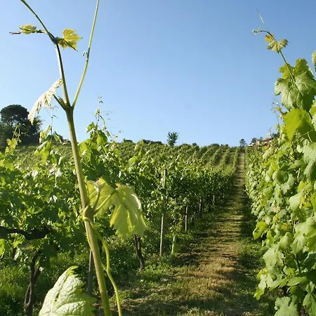 Kır Evi Quinta De Lourosa Lousada