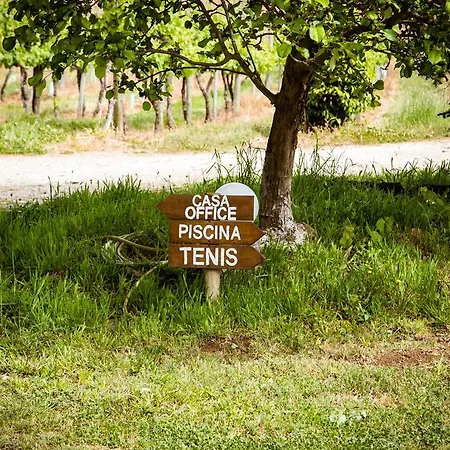 Kır Evi Quinta De Lourosa