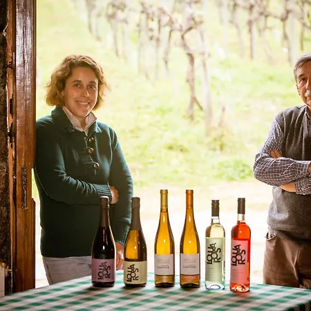 Quinta De Lourosa Kır Evi