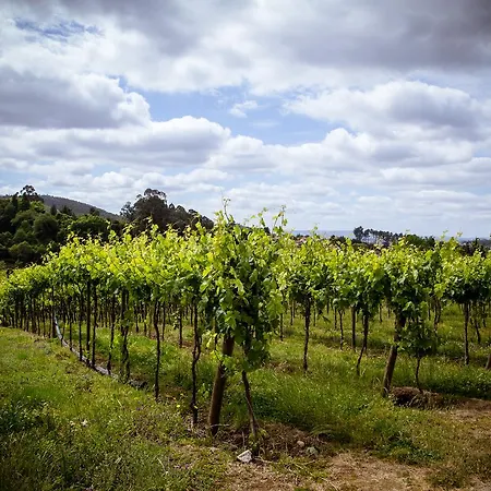 Quinta De Lourosa