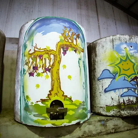 Kır Evi Quinta De Lourosa