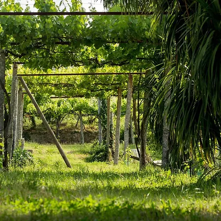 Landsted Quinta De Lourosa