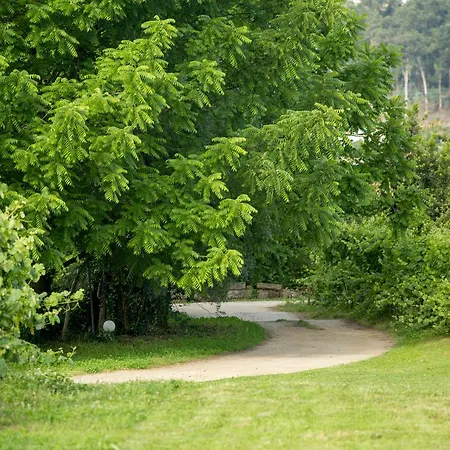Quinta De Lourosa *