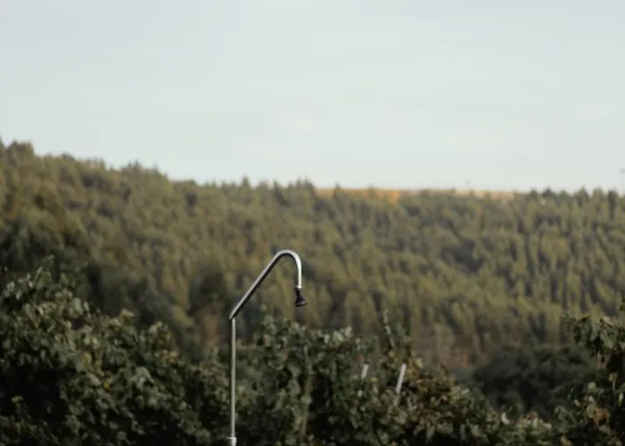 Quinta De Lourosa Lousada