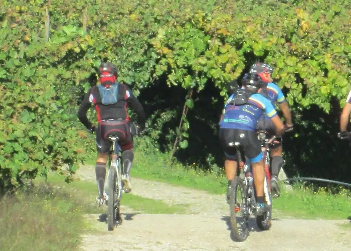 Quinta De Lourosa * Лозада