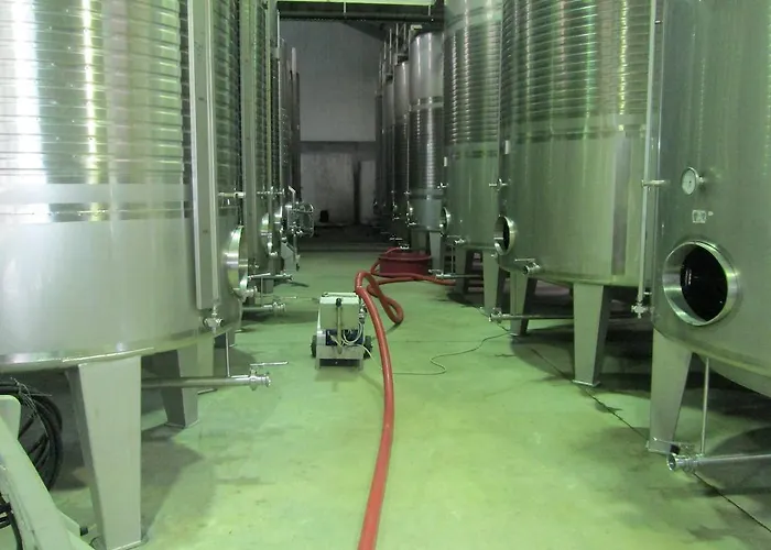 Lantställe Quinta De Lourosa *