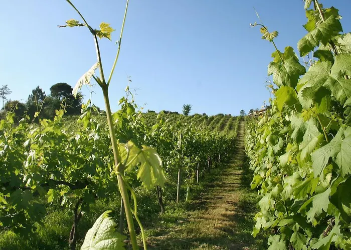 Hétvégi ház Quinta De Lourosa Lousada