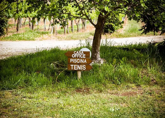 Lantställe Quinta De Lourosa