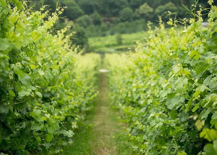 Hétvégi ház Quinta De Lourosa