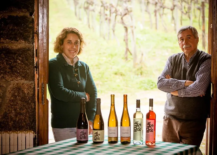 Quinta De Lourosa Hétvégi ház