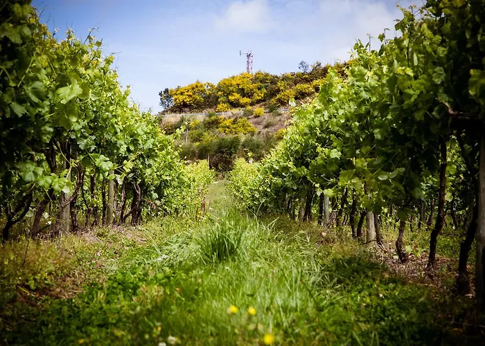 Quinta De Lourosa Hétvégi ház Lousada