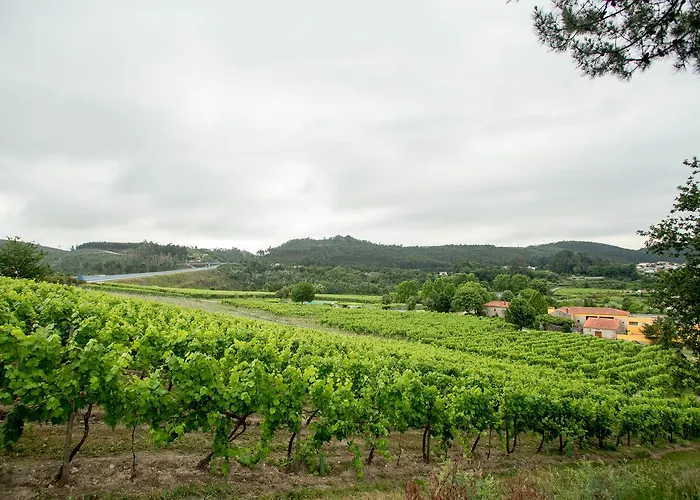 Quinta De Lourosa Lantställe Lousada