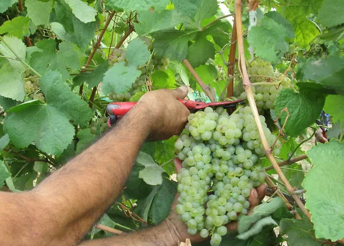 Hétvégi ház Quinta De Lourosa